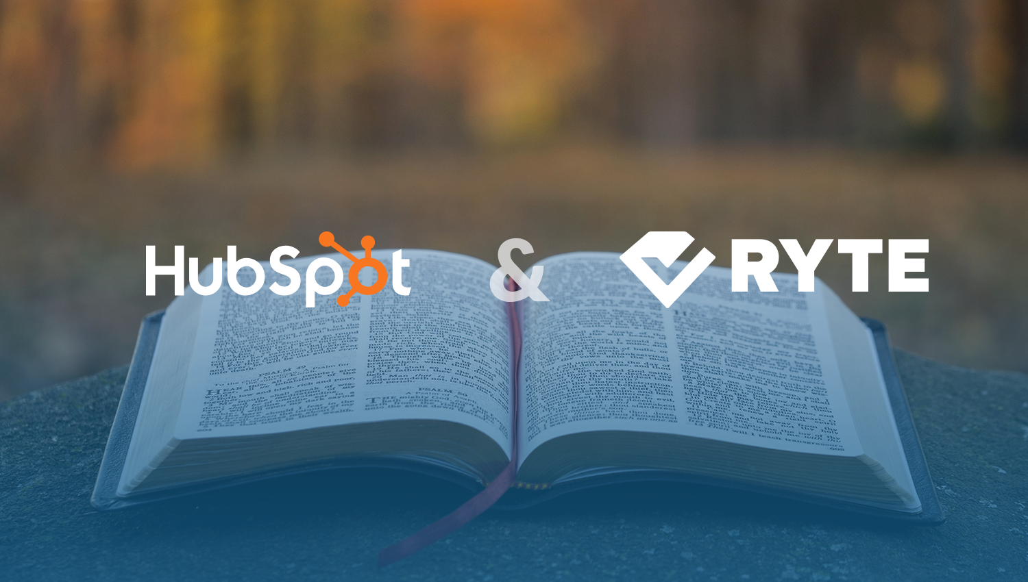 Ryte и Hubspot объединились для создания окончательного бесплатного комплекта SEO-аудита, включающего руководство по SEO-аудиту, контрольный список SEO-аудита и встроенный SEO-шаблон